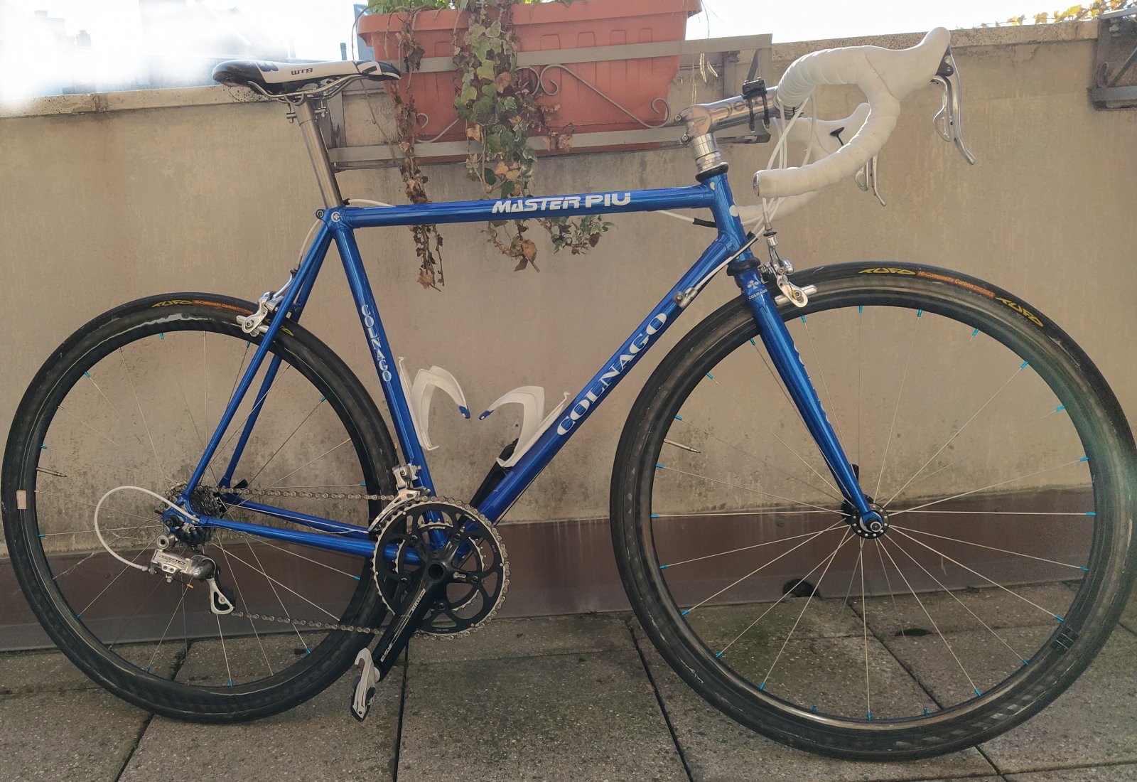 Bicicletta da Corsa Colnago Master Più Taglia 53