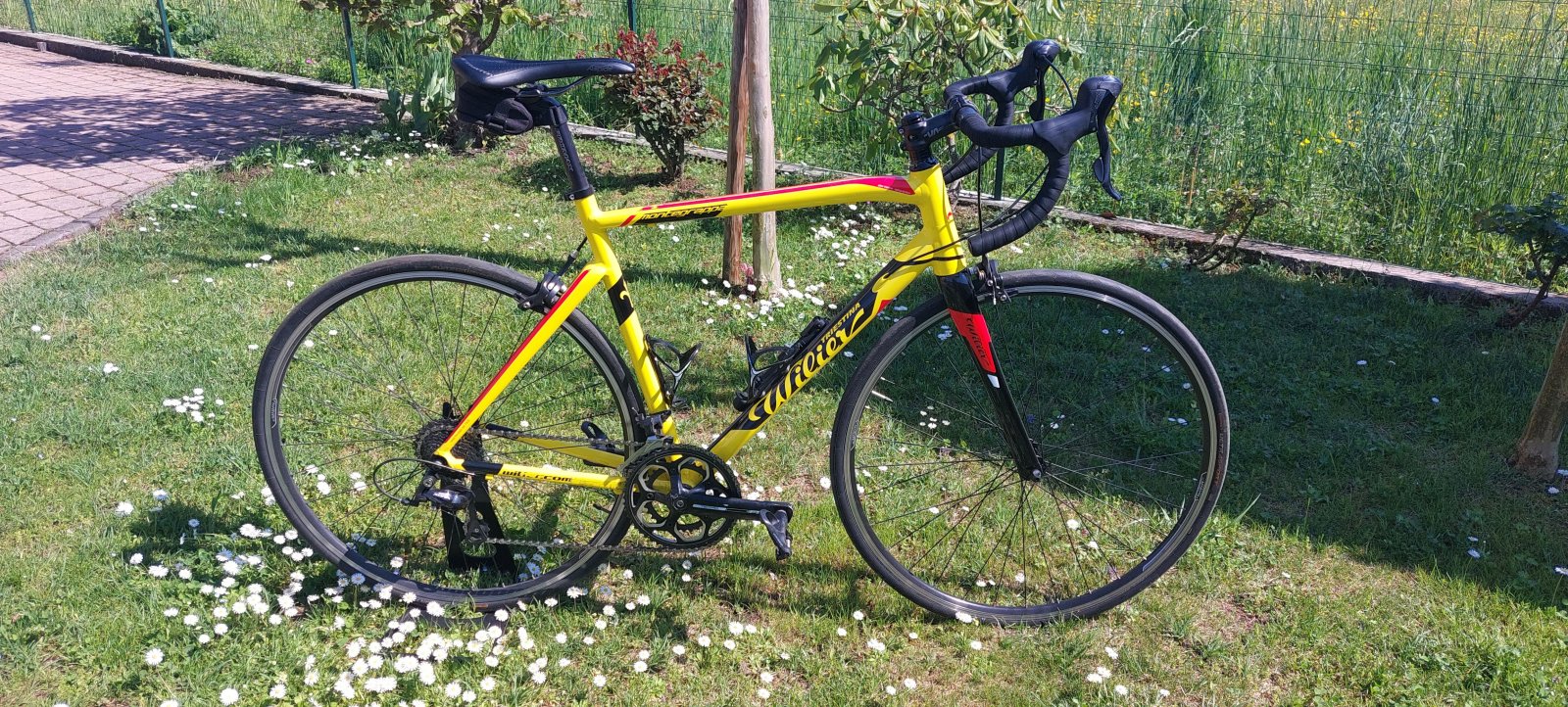 Vélo de course Wilier Triestina Full Carbone T.56 - Vélos