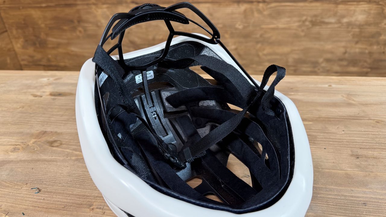 Taipan Abus
